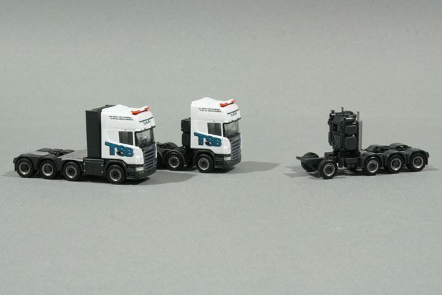 Strassenbahntransport_17